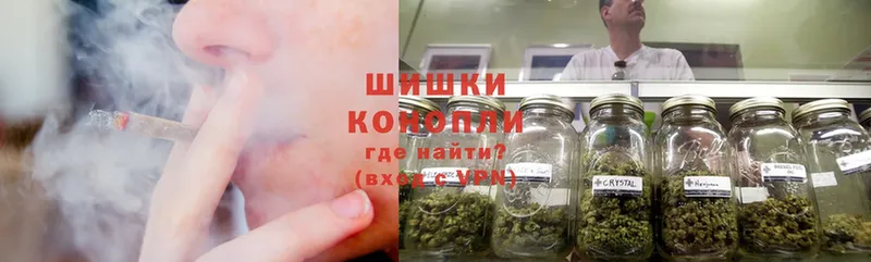 кракен онион  Новосиль  Марихуана Amnesia 